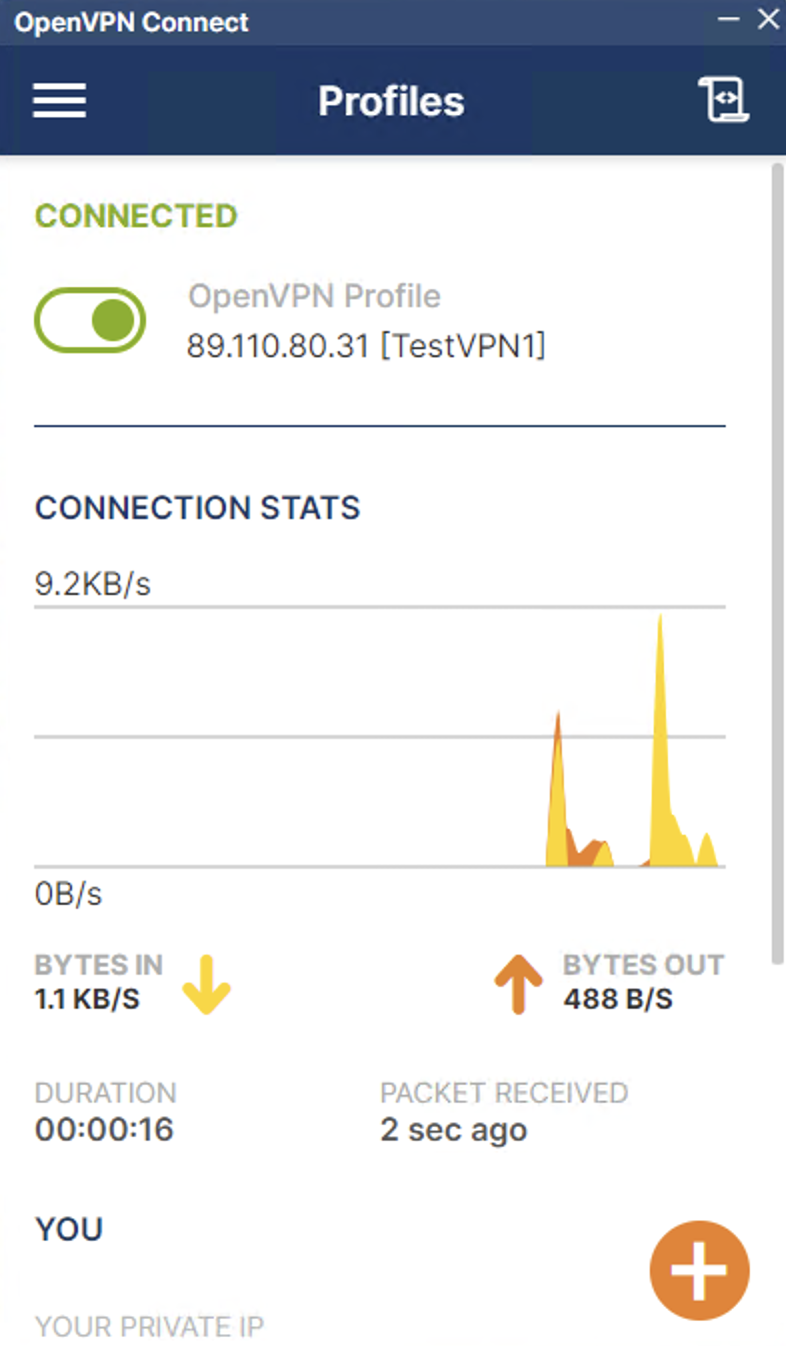 ispolzovanie-servera-s-predustanovlennym-openvpn-7.png